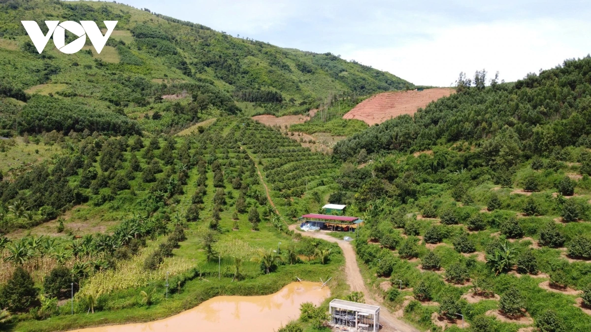 Khánh Hòa: Phát triển du lịch gắn với văn hóa bản địa và kinh tế vườn Một vườn trồng sầu riêng ở miền núi tỉnh Khánh Hòa.