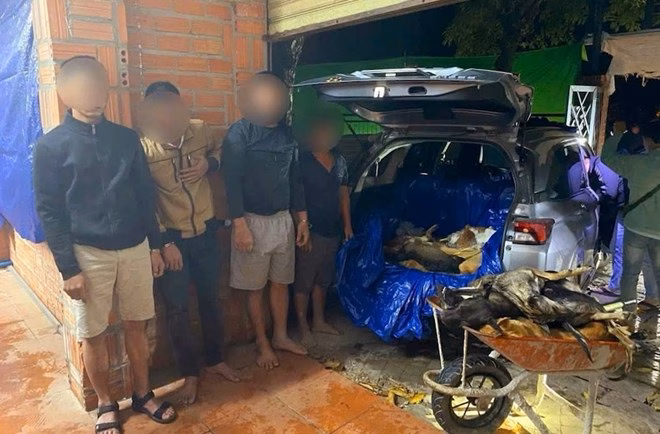 Công an Tây Ninh triệt phá mạng lưới trộm cắp chó Công an Tây Ninh triệt phá mạng lưới trộm cắp chó