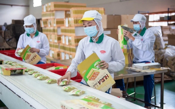 Nhân viên Bibica tại nhà máy Nhân viên Bibica tại nhà máy, hình ảnh thể hiện quy mô sản xuất thực phẩm