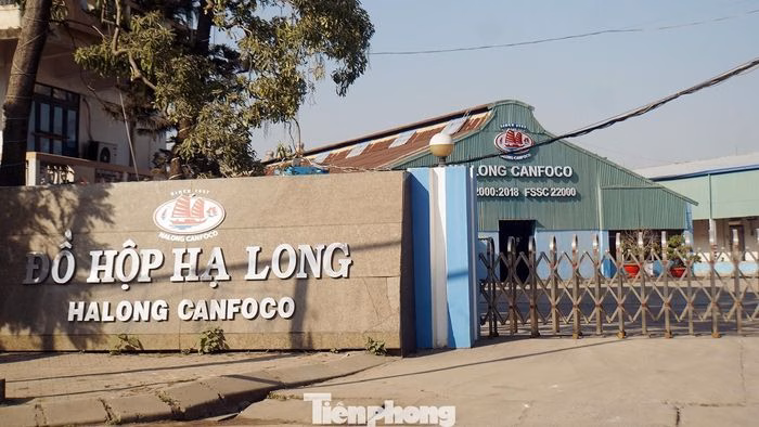 Trụ sở Halong Canfoco tại Hải Ph&ograve;ng