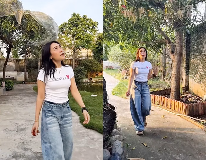 C&acirc;y v&uacute; sữa trong vườn của Mỹ T&acirc;m