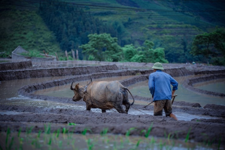 Cầu Thiên Sinh và ruộng bậc thang Y Tý Cầu Thiên Sinh và ruộng bậc thang Y Tý