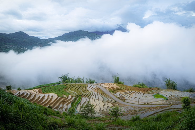 Canh tác thủ công trên ruộng bậc thang Canh tác thủ công trên ruộng bậc thang
