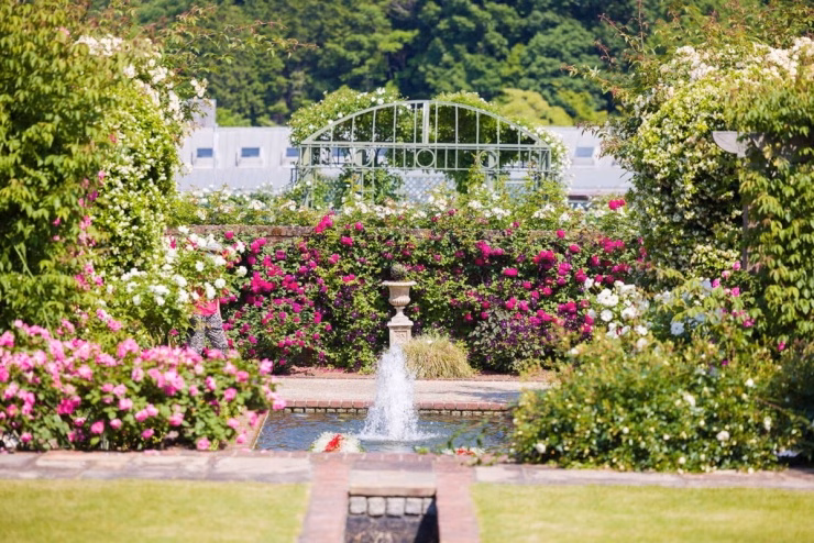 Vườn Gifu World, Gifu