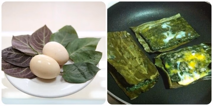 Lợi ích của lá mơ lông Lá mơ lông