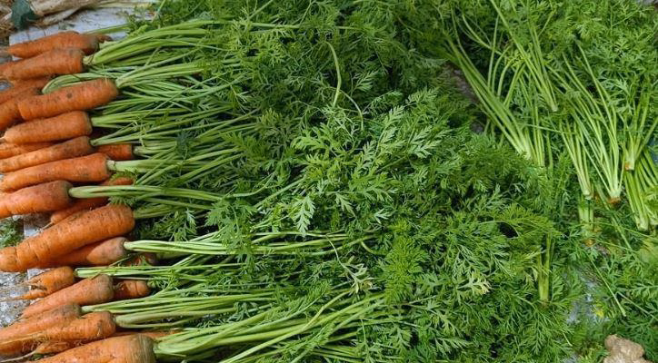 Lợi ích của lá cà rốt Lá cà rốt chứa nhiều dinh dưỡng