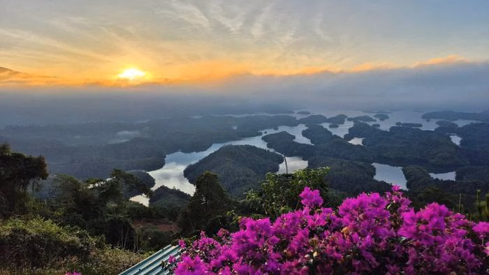 H&igrave;nh ảnh b&agrave;i viết