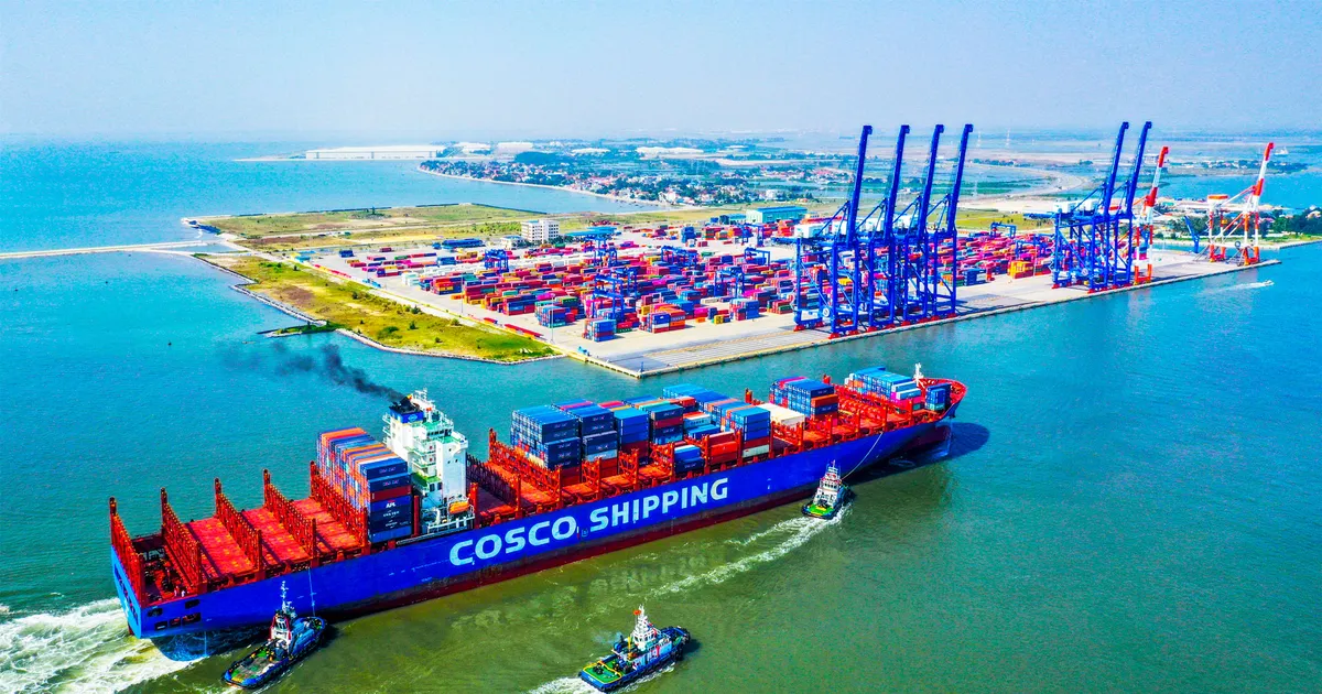 Cảng container quốc tế Tân Cảng Cảng container quốc tế Tân Cảng