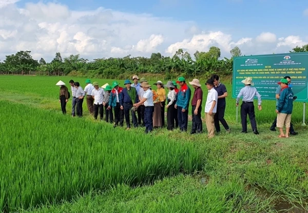 Nông nghiệp tuần hoàn Nông nghiệp tuần hoàn