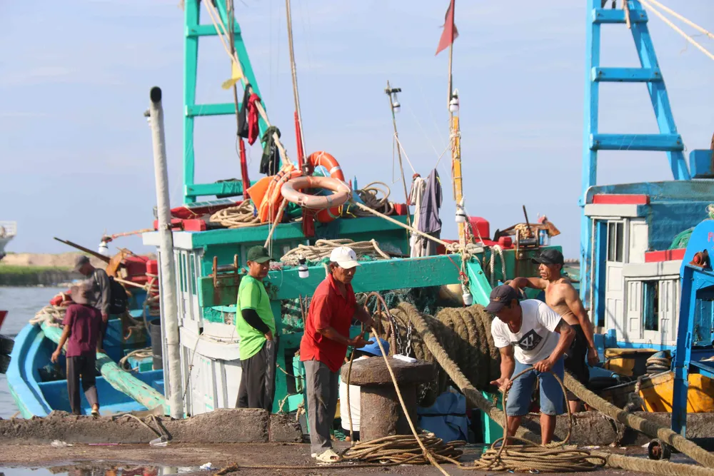 Khung cảnh nhộn nhịp tại cảng cá Phan Thiết