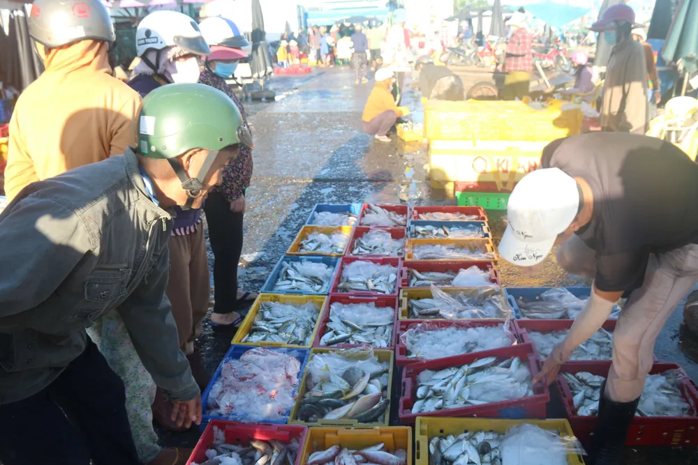 Hải sản tươi rói được bày bán trong chợ của cảng cá Phan Thiết