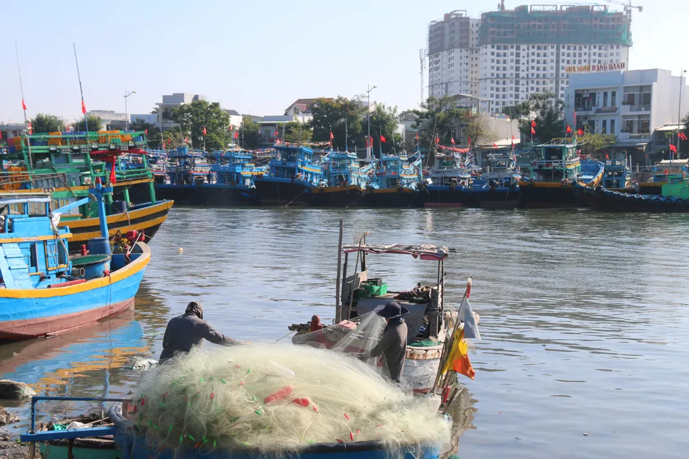 Phan Thiết – nơi biển không chỉ là biển, mà còn là cuộc đời, máu thịt của bao thế hệ con người nơi đây