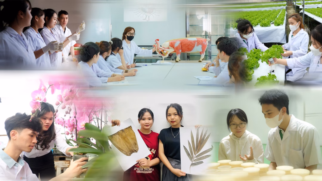 Ưu thế “học qua dự án” của SV khối ngành Khoa học sự sống Trường ĐH Đông Á Ưu thế “học qua dự án” của SV khối ngành Khoa học sự sống Trường ĐH Đông Á
