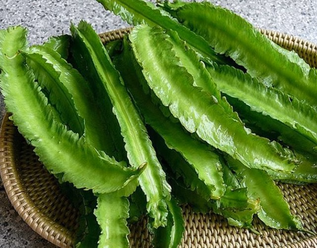 Đậu rồng hỗ trợ tiêu hóa