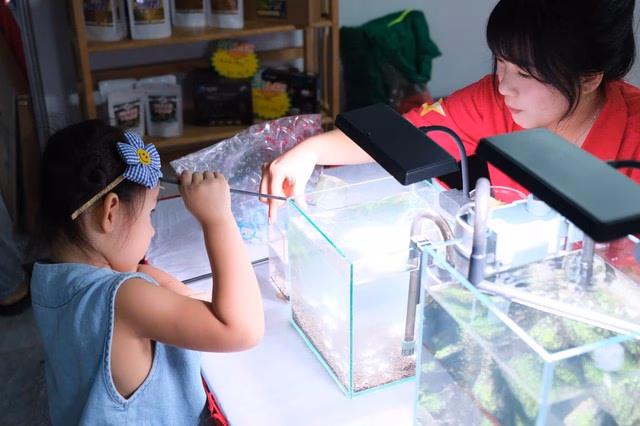 VNAC2025 - Sân chơi lớn nhất của giới yêu thủy sinh tại Tp.HCM Khách tham quan tại sự kiện VNAC2025