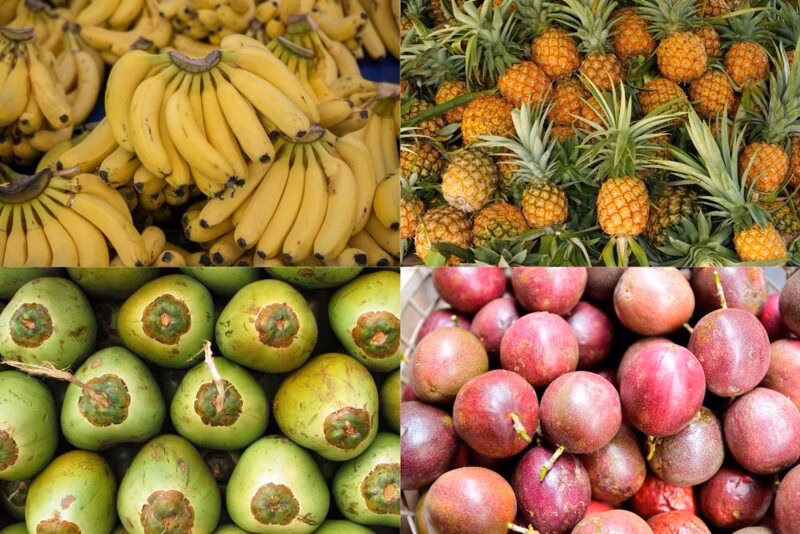 Cách mạng công nghệ để đưa 4 loại trái cây lên quy mô tỷ đô Các doanh nhân tham gia toạ đàm tại diễn đàn.