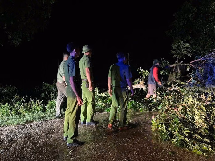 Người đàn ông tử vong do bị cành cây gãy rơi trúng người- Ảnh 2.