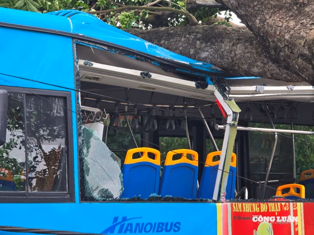 Hà Nội: Cây cối bật gốc, ô tô và xe buýt mắc kẹt sau mưa giông Một người dân chứng kiến vụ việc kể lại: "Lúc đó trên xe còn gần 20 người nhưng may quá, không ai làm sao cả". Sự việc khiến nhiều người thót tim, nhưng rất may mắn là không có thiệt hại về người.