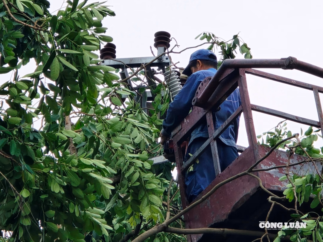 Hà Nội: Cây cối bật gốc, ô tô và xe buýt mắc kẹt sau mưa giông