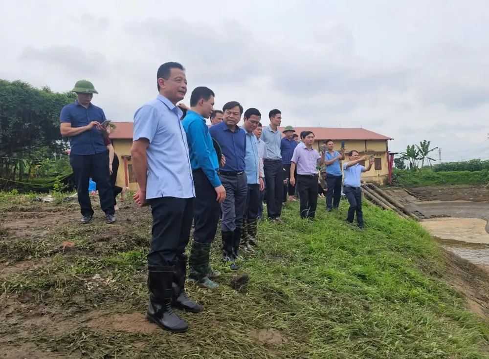 Thứ trưởng Nguyễn Hoàng Hiệp kiểm tra sự cố mạch sủi tại Trạm bơm Cẩm Bào (đê tả sông Cầu, tỉnh Bắc Ninh) ngày 2-7 Thứ trưởng Nguyễn Hoàng Hiệp kiểm tra sự cố mạch sủi tại Trạm bơm Cẩm Bào (đê tả sông Cầu, tỉnh Bắc Ninh) ngày 2-7