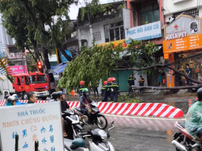 Mưa lớn gây nhiều tai nạn giao thông ở TP HCM, cây xanh ngã đổ đè nát ô tô Cây xanh ngã trên đường Ông Ích Khiêm, phường Bình Thới.