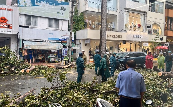 Mưa lớn gây nhiều tai nạn giao thông ở TP HCM, cây xanh ngã đổ đè nát ô tô Nhà chứa rác Bệnh viện Nhi đồng 1 bị tốc mái sau cơn dông lốc