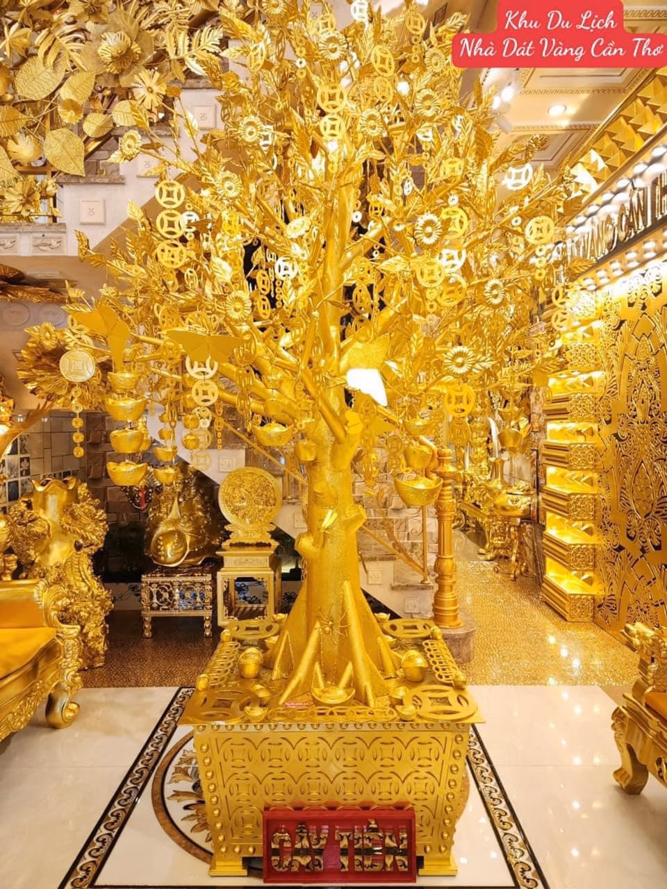 Cần Thơ xuất hiện khu du lịch dát vàng, vườn cổ tích màu tím gây sốt mạng Khu du lịch “độc lạ” miền Tây dành cho “khối phụ huynh”, giới trẻ cũng rần rần lưu lại địa chỉ vì lý do này- Ảnh 5.