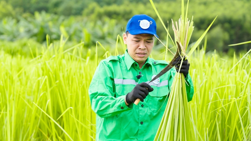 Duy Hưng và Neko Lê bật khóc khi làm ‘Bố ơi mình đi đâu thế?’