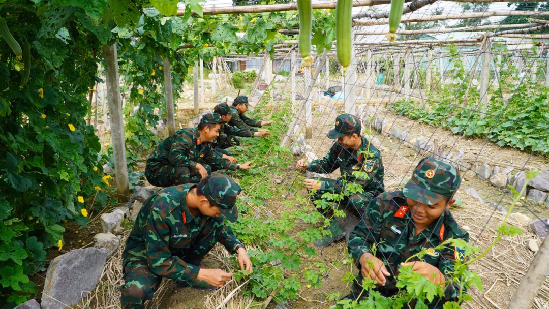 Bộ đội Cụ Hồ: Dân thương, dân quý