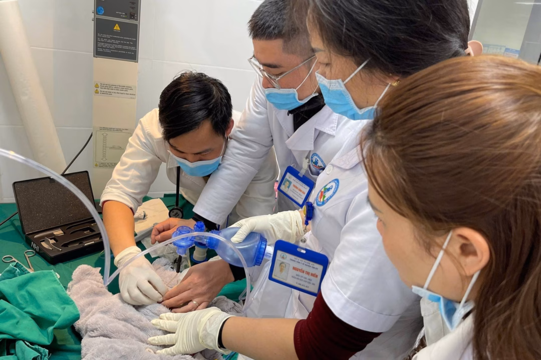 Các y bác sĩ cấp cứu cho bệnh nhi. Các y bác sĩ cấp cứu cho bệnh nhi.