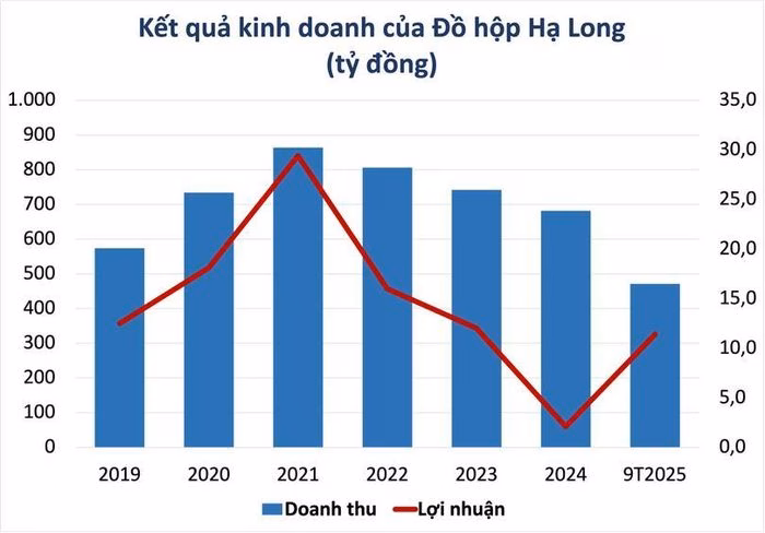B&aacute;o c&aacute;o t&agrave;i ch&iacute;nh Đồ hộp Hạ Long 2025