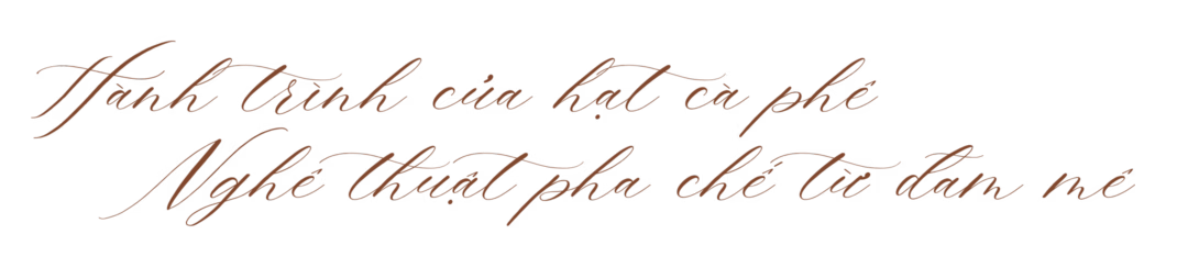 Workshop cà phê và trà: Hành trình đa giác quan, lan tỏa giá trị văn hóa Workshop cà phê và trà: Hành trình đa giác quan, lan tỏa giá trị văn hóa