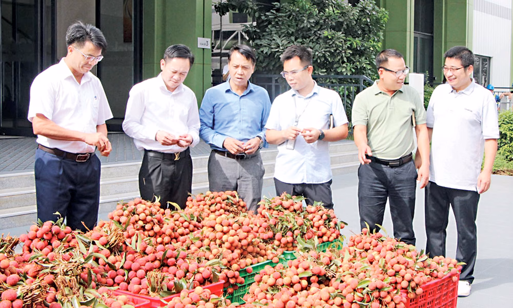 Liên đoàn Lao động tỉnh Bắc Ninh đổi mới để nâng cao chất lượng chăm sóc người lao động