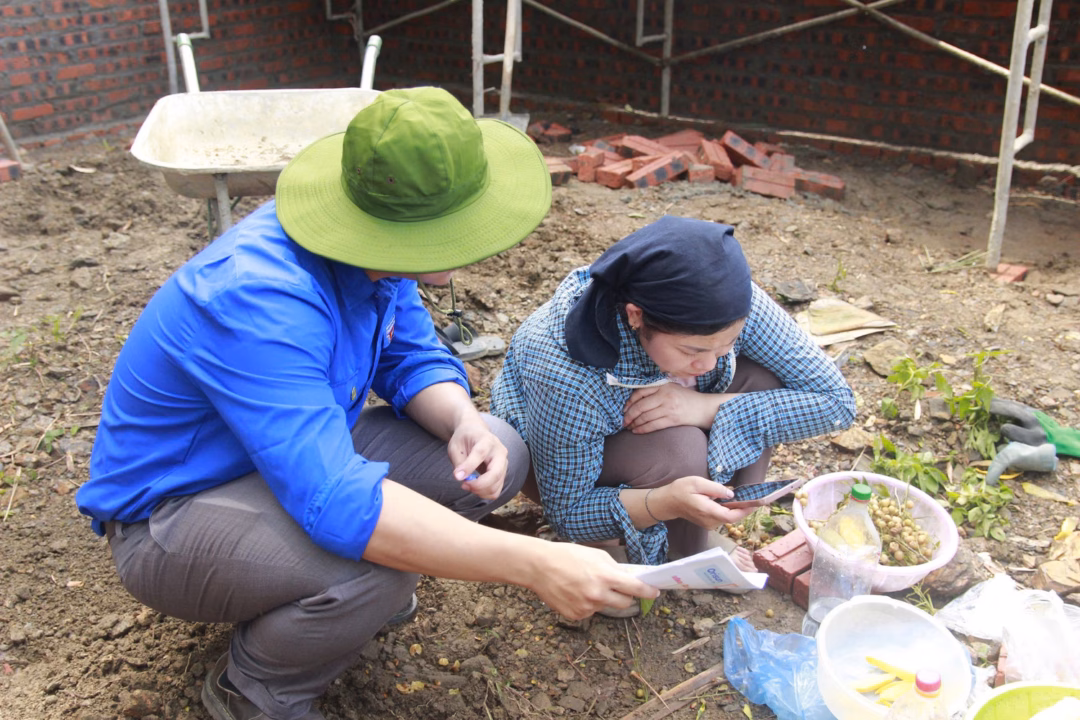Sinh viên tình nguyện ‘phủ số’ giúp người dân vùng cao Tuyên Quang