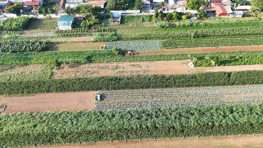 Xã Minh Châu đã đẩy mạnh ứng dụng tiến bộ khoa học kỹ thuật, cơ giới hóa khâu làm đất và thu hoạch, nhân rộng mô hình trồng trọt giúp tăng năng suất, chất lượng nông sản của Nhân dân