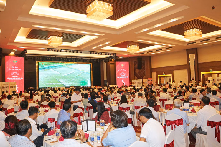 Nuôi tôm khỏe, ít bệnh nhờ giải pháp toàn diện từ thức ăn và công nghệ