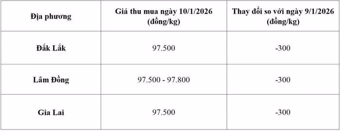 Biểu đồ giá cà phê hôm nay 10/1/2026 Biểu đồ giá cà phê hôm nay 10/1/2026