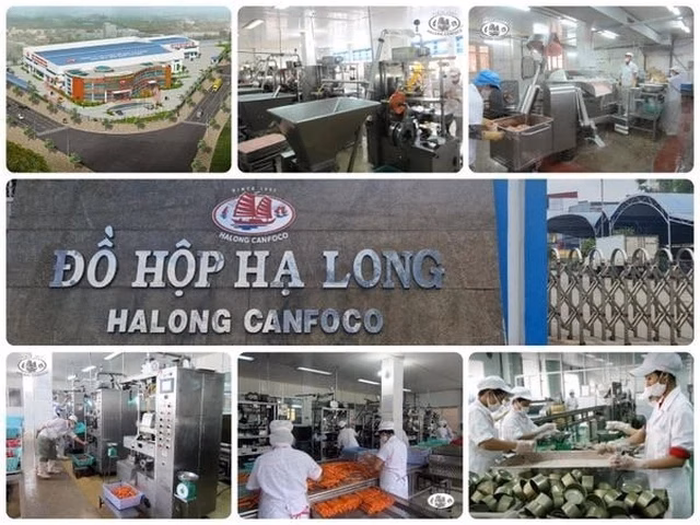 Cảnh s&aacute;t Hải Ph&ograve;ng bắt gi&aacute;m đốc c&ocirc;ng ty đồ hộp Hạ Long