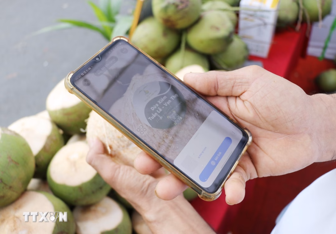 Ứng dụng QR Code truy xuất nguồn gốc n&ocirc;ng sản Kh&aacute;nh H&ograve;a