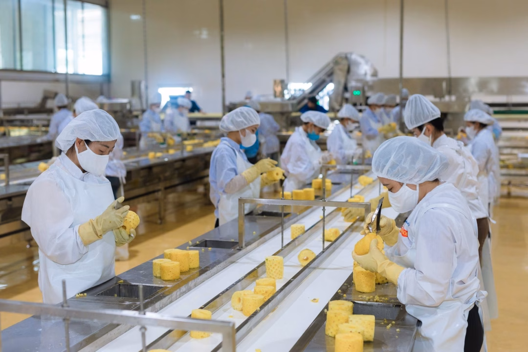 Cách mạng công nghệ cho trái cây tỷ đô Nhập chú thích ảnh