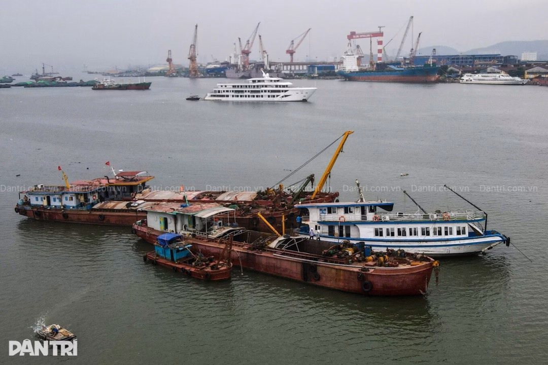 Nghệ sĩ hoảng hốt dời lịch trình vì vụ lật tàu ở Hạ Long