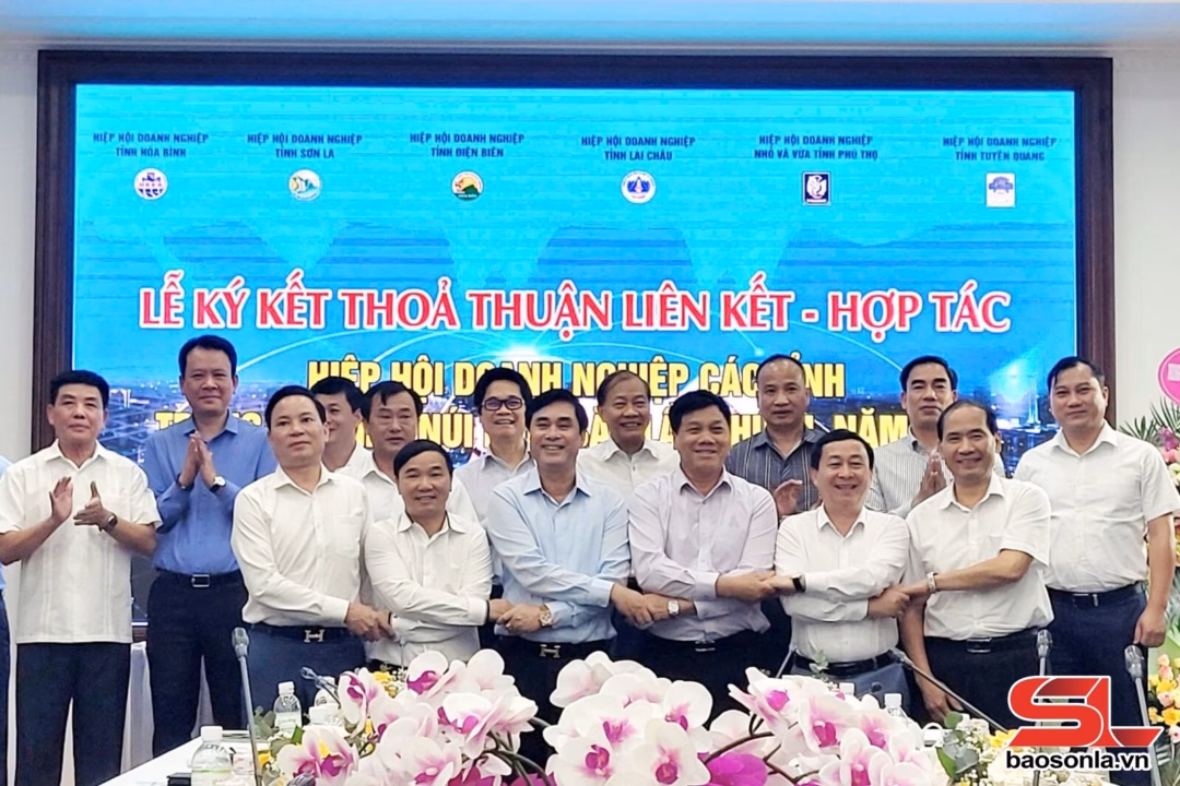 Sơn La: Phát triển hệ sinh thái hỗ trợ doanh nghiệp mở rộng thị trường Mocha Hill Mộc Châu tư vấn, giới thiệu các tour cho khách hàng.