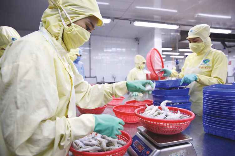 Cải thiện môi trường đầu tư: Thủ tướng kêu gọi quyết tâm cao từ hệ thống chính trị