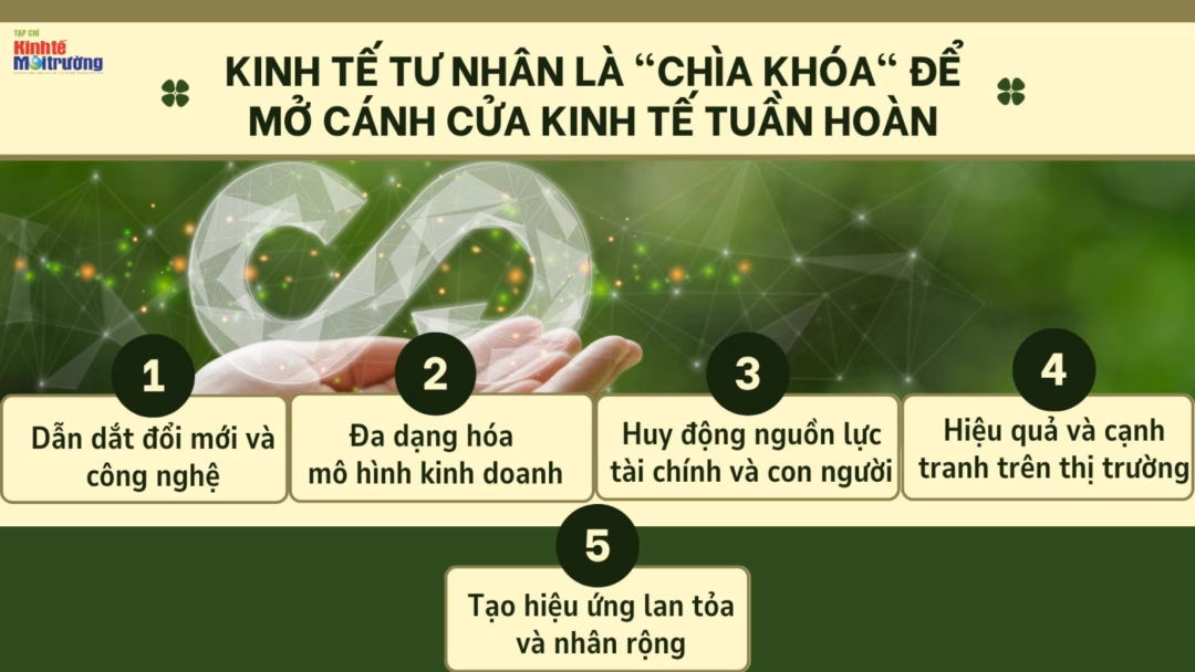 Kinh tế tuần hoàn & kinh tế tư nhân: Đòn bẩy kép cho Việt Nam xanh, thịnh vượng - Ảnh 3