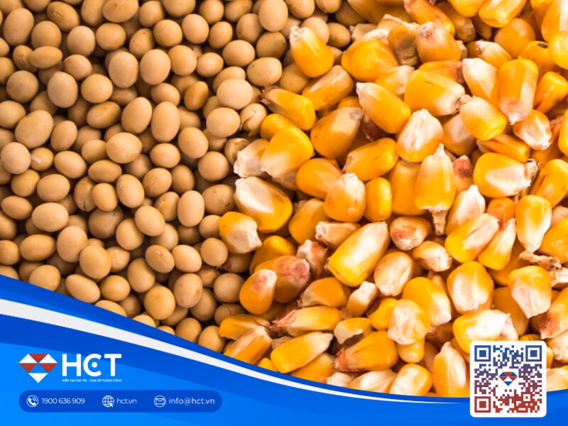 Nga giảm sản xuất lúa mì, ngô giảm toàn cầu, diễn biến thị trường nông sản thế giới phức tạp