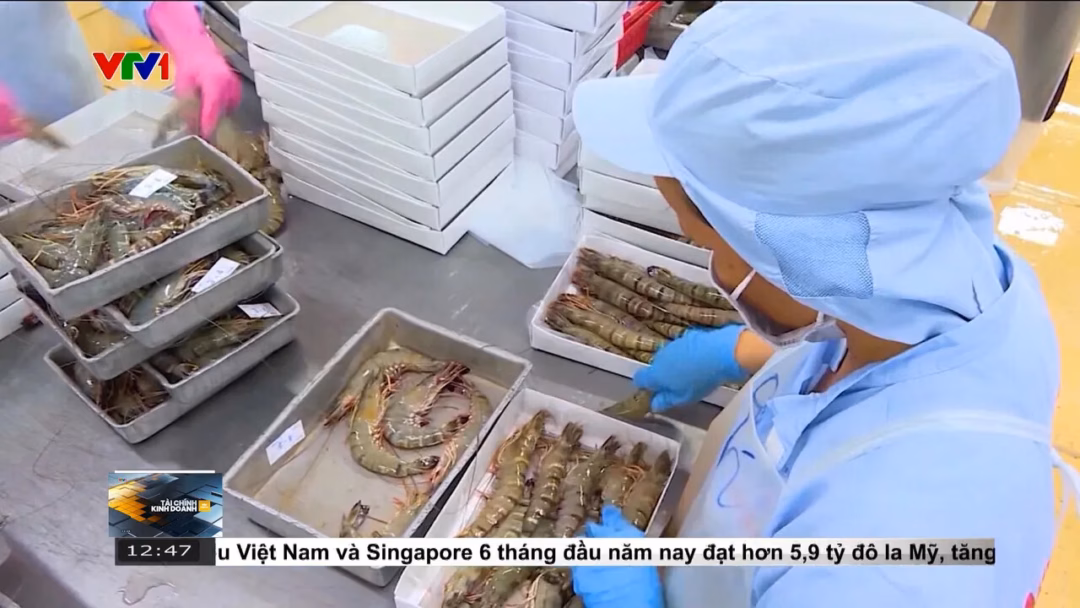 Xuất khẩu tôm Việt Nam đối mặt thách thức mới trong tháng 7