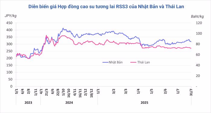 Giá cao su tiếp tục giảm, thị trường ô tô và sản xuất ảnh hưởng