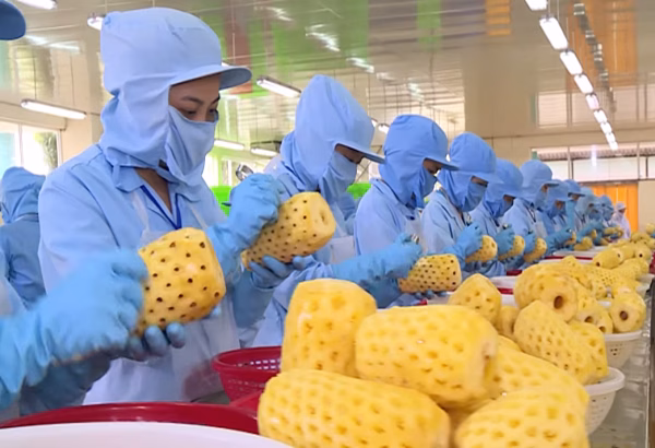 Hà Tĩnh hỗ trợ 1,8 tỷ đồng phát triển công nghiệp nông thôn năm 2025 Đẩy mạnh thu hút đầu tư chế biến nông sản, phát huy lợi thế công nghiệp nông thôn