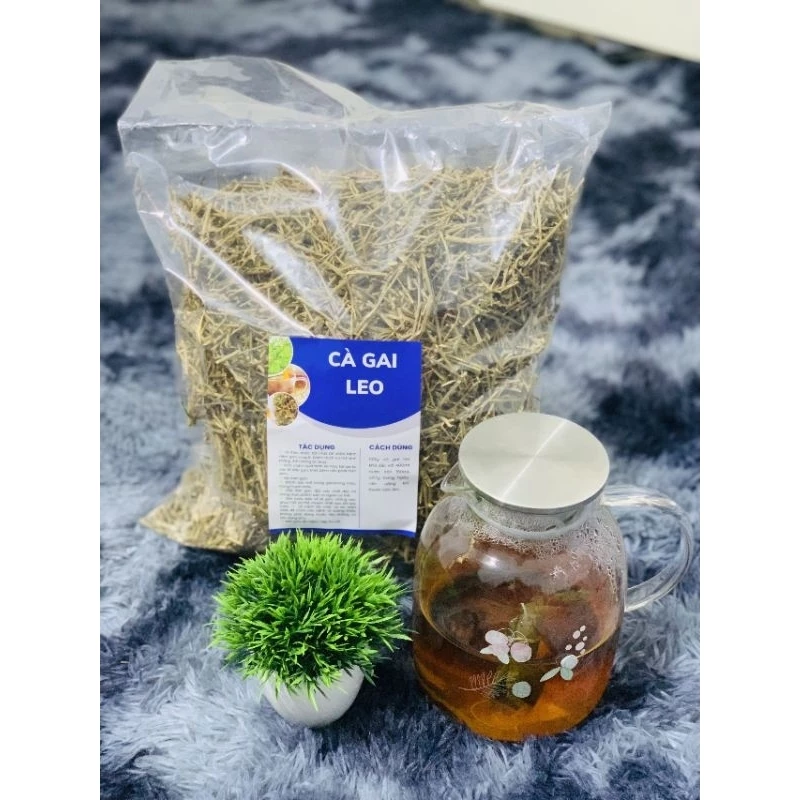 Lầm tưởng về cà gai leo khô: Mua hàng chuẩn cần biết điều này