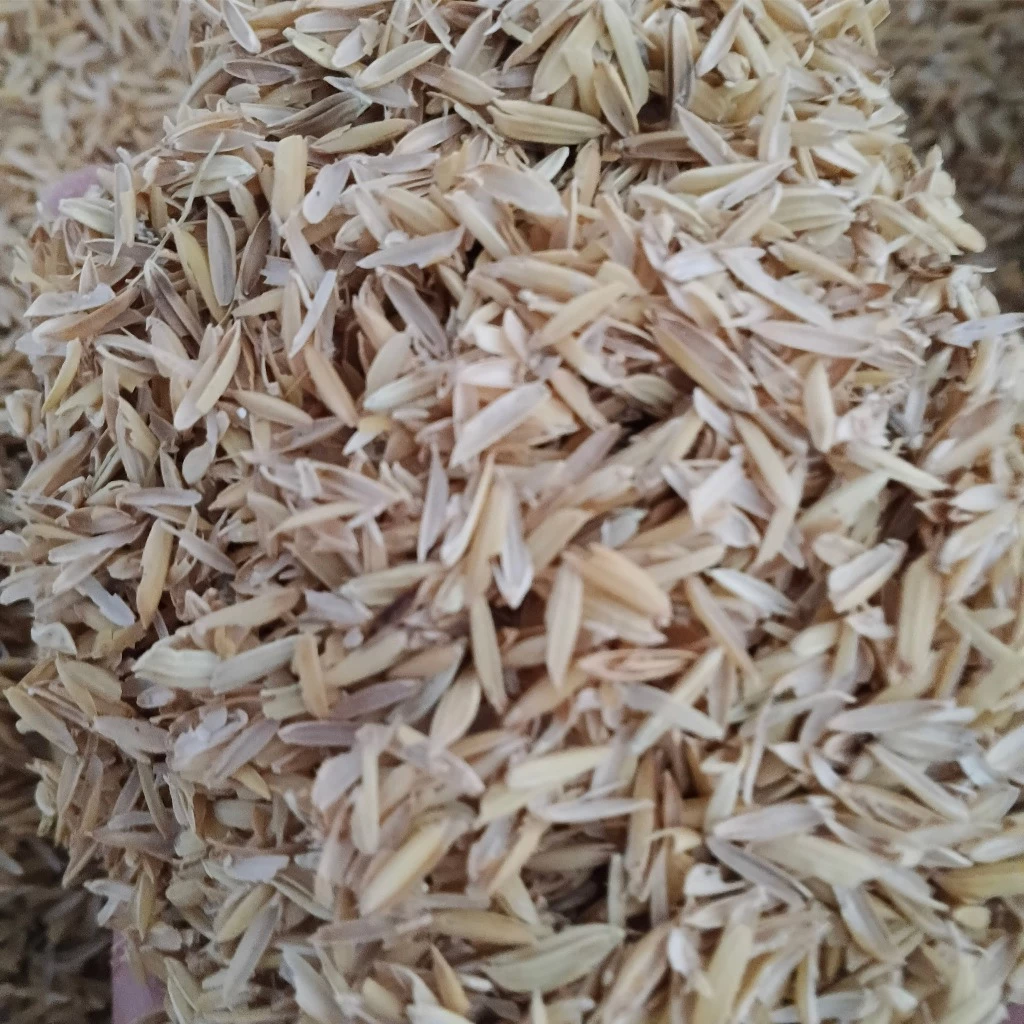 Vì sao vỏ trấu khô vẫn là lựa chọn hàng đầu cho người trồng rau sạch tại nhà?